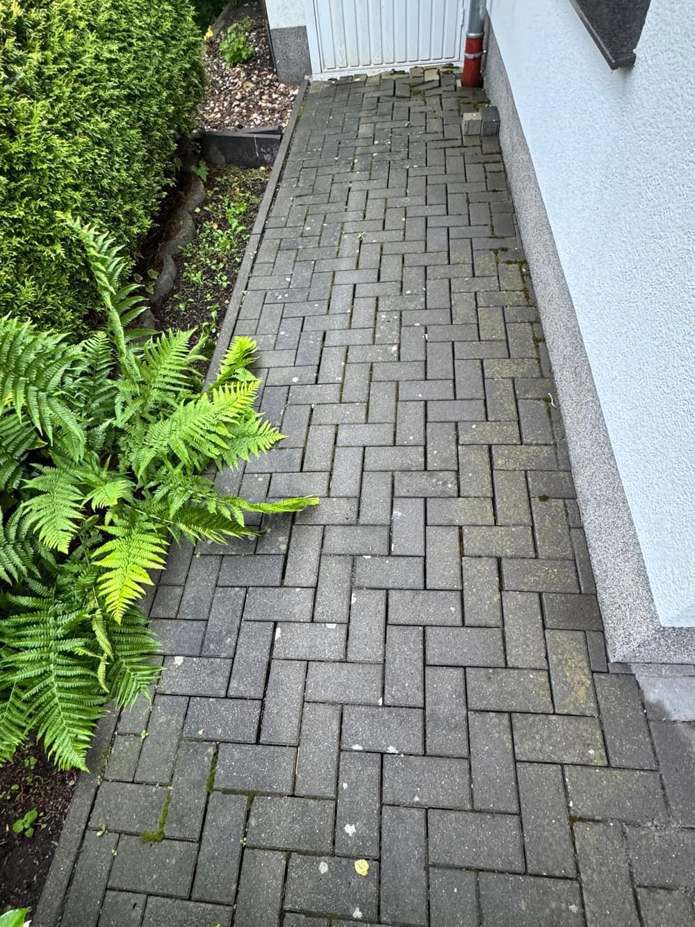 Gereinigter Gartenweg mit Herringbone-Pflaster