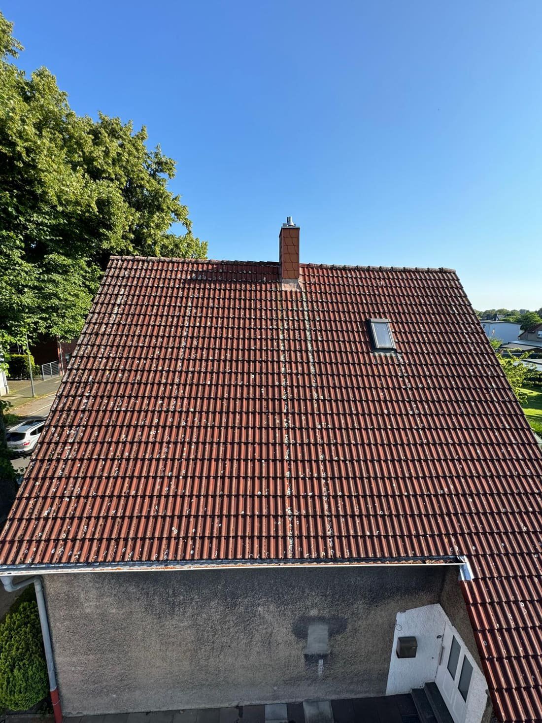 Ziegeldach in Recklinghausen mit Flechten und Moosbewuchs vor der Dachreinigung