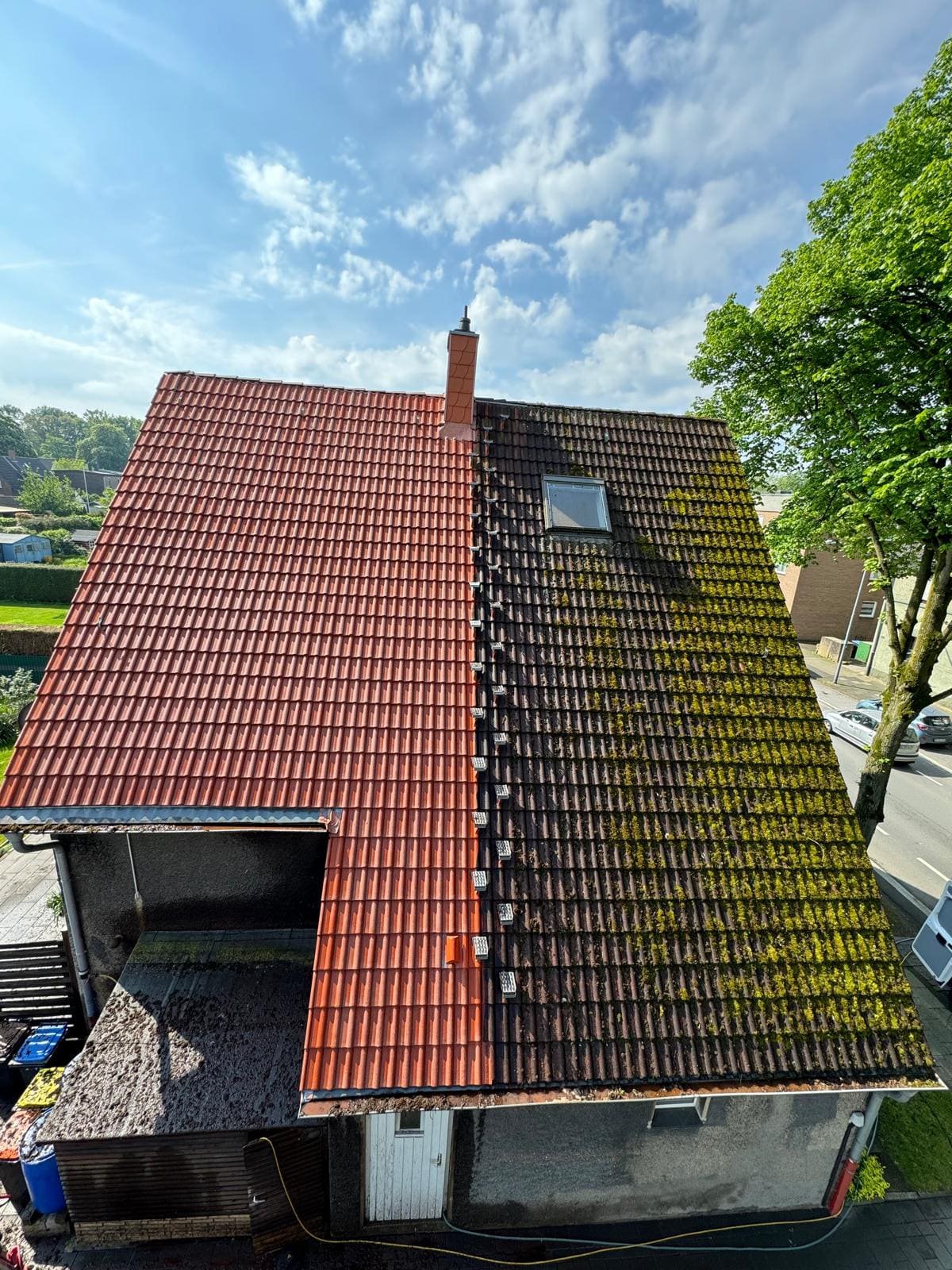 Dachreinigung Recklinghausen: Ziegeldach links gereinigt, rechts noch mit Moos bewachsen